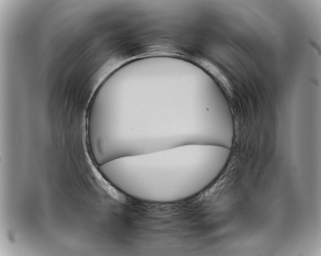 X0000098041431200804071430