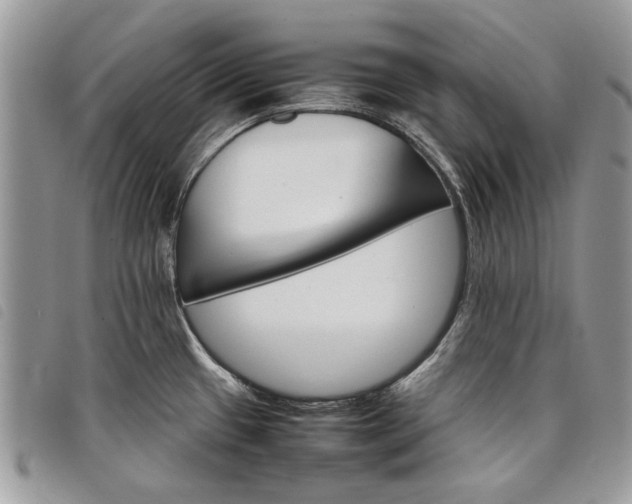 X0000098041433200804071430