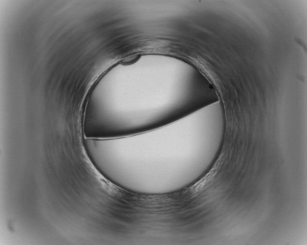 X0000098041434200804071430