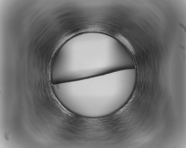 X0000098041436200804071430