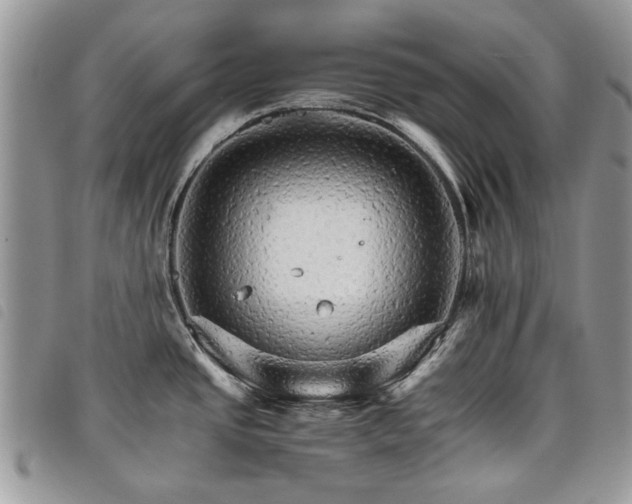 X0000098041437200804071430