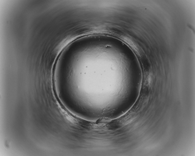 X0000098041439200804071430