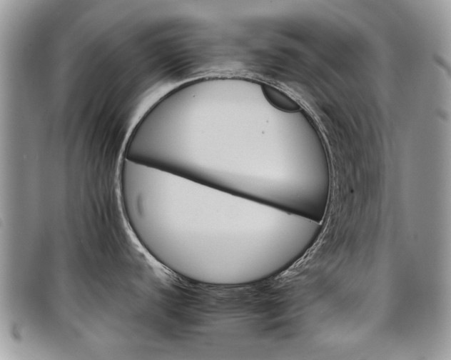X0000098041440200804071430