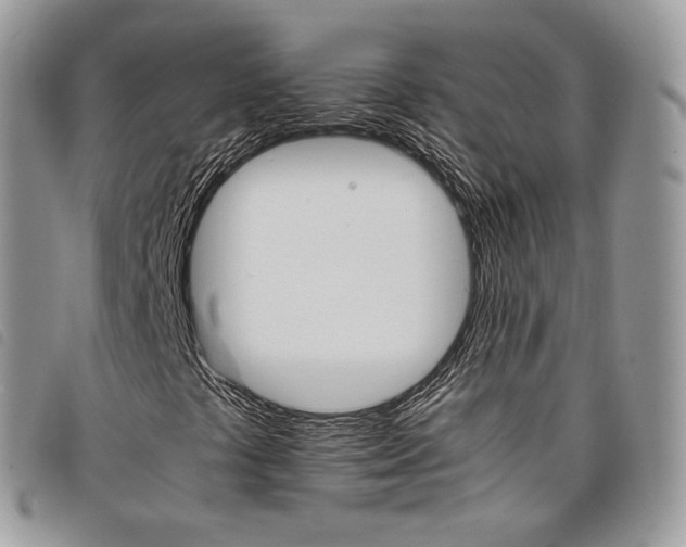 X0000098041441200804071429