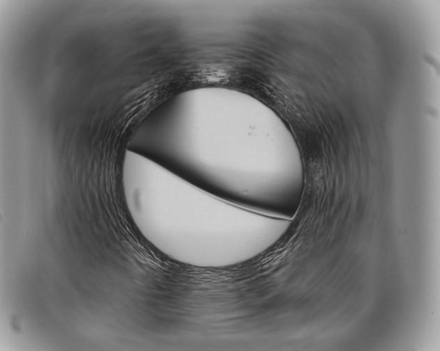 X0000098041442200804071429