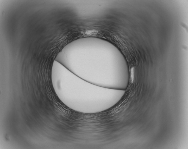 X0000098041443200804071429