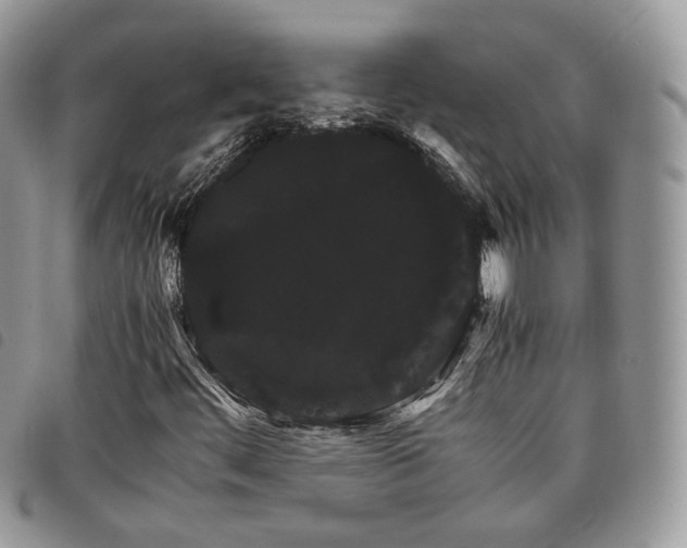 X0000098041444200804071429