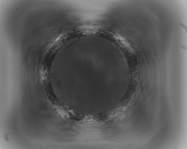 X0000098041445200804071429
