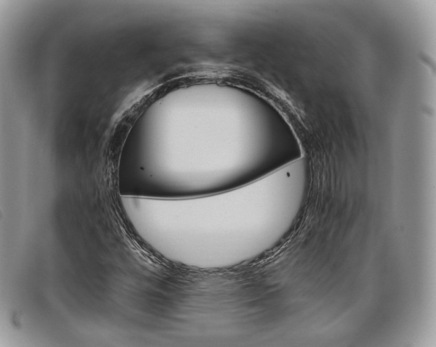 X0000098041448200804071429