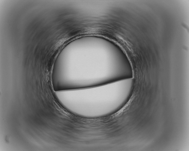X0000098041449200804071429