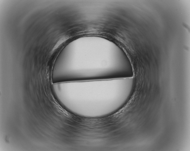 X0000098041450200804071429