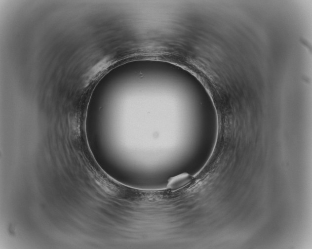 X0000098041451200804071429
