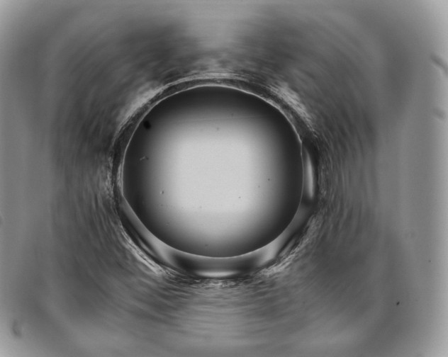 X0000098041452200804071429
