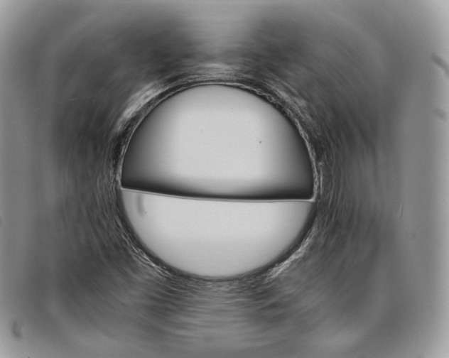 X0000098041453200804071429