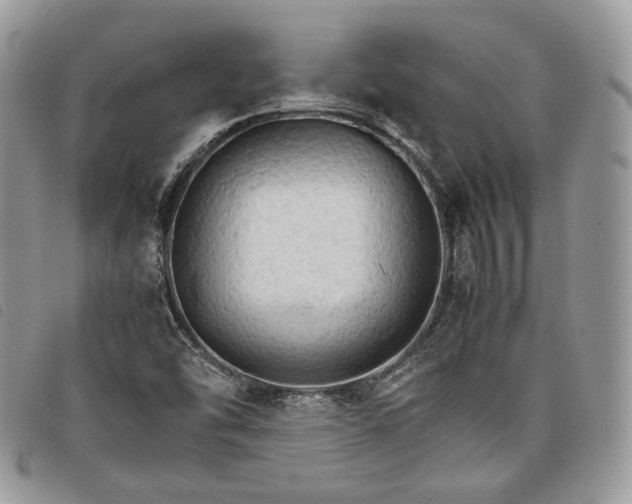 X0000098041454200804071429