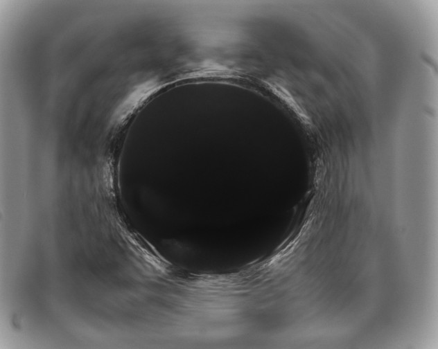 X0000098041455200804071429