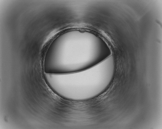 X0000098041456200804071429
