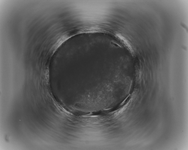 X0000098041457200804071429