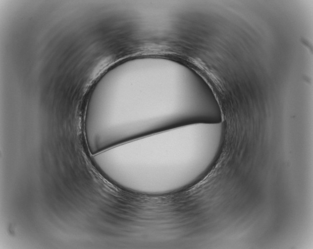 X0000098041459200804071429