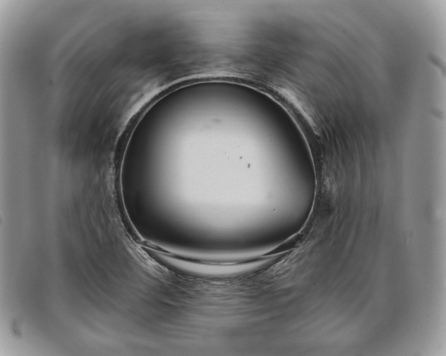 X0000098041460200804071429