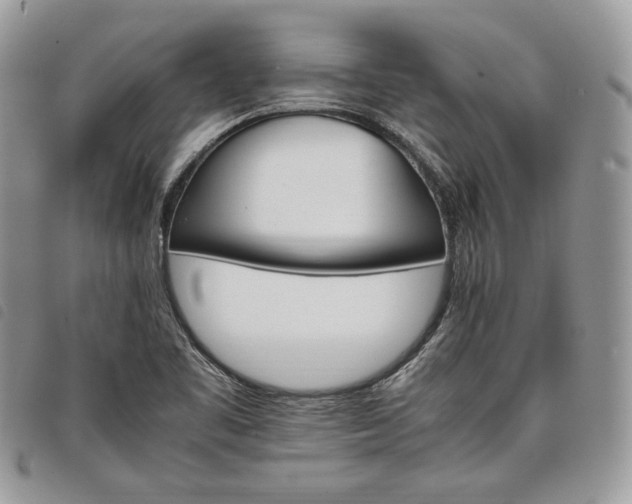 X0000098041461200804071429