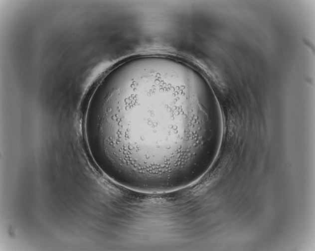 X0000098041462200804071429