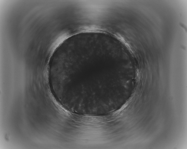X0000098041463200804071429