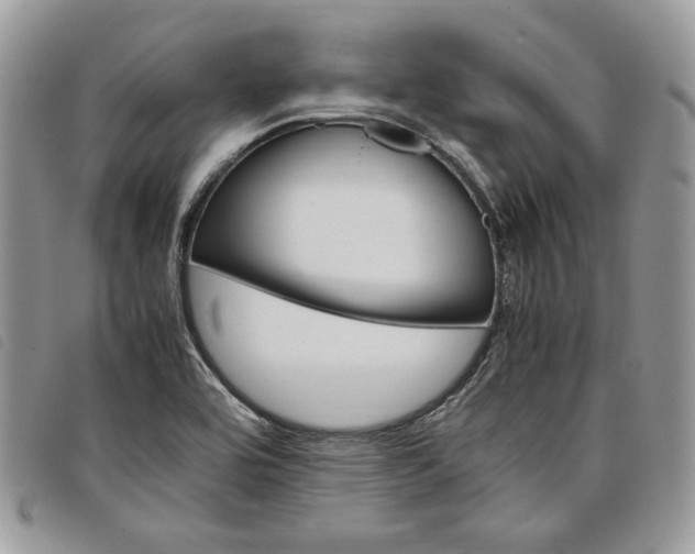 X0000098041464200804071429