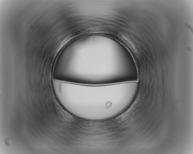 X0000098041465200804071429