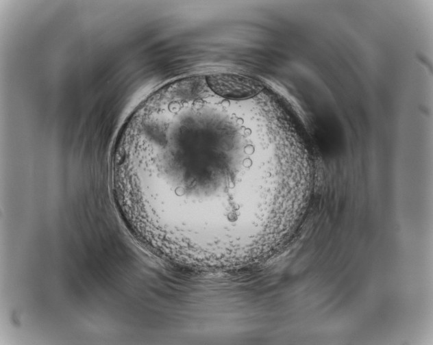 X0000098041467200804071429