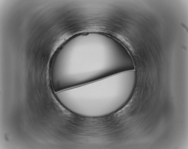 X0000098041469200804071428
