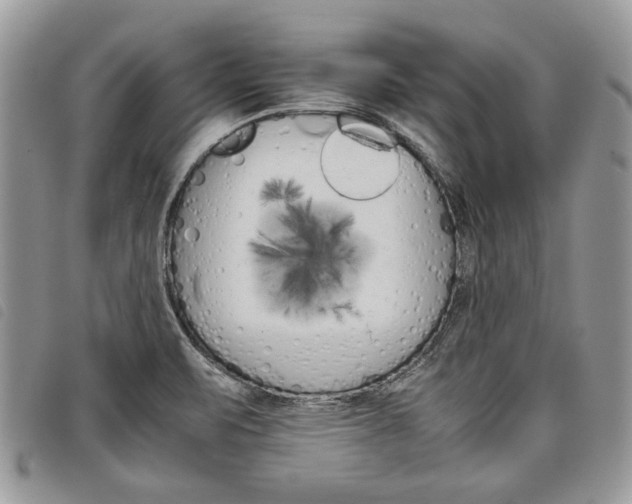 X0000098041471200804071428