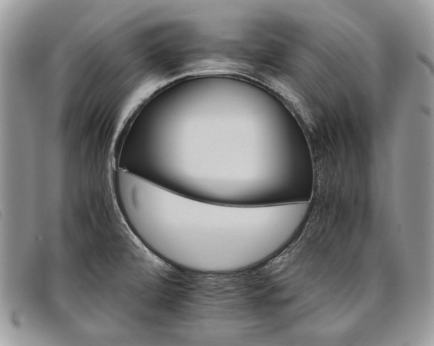 X0000098041472200804071428