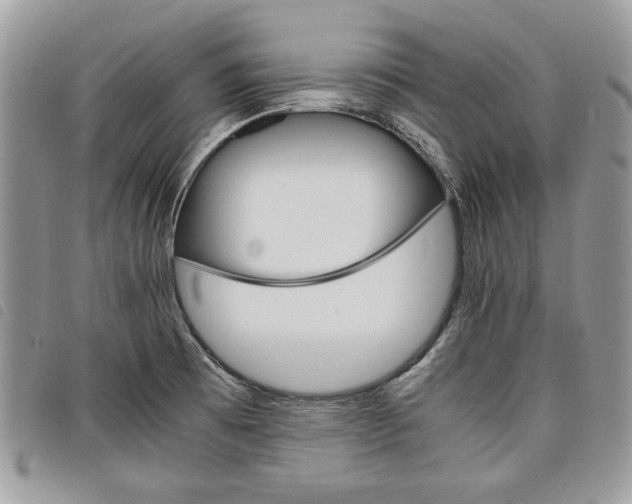 X0000098041473200804071428
