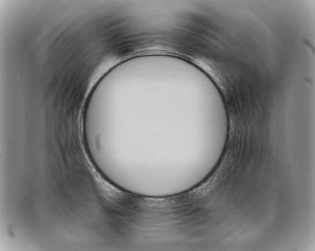 X0000098041474200804071428