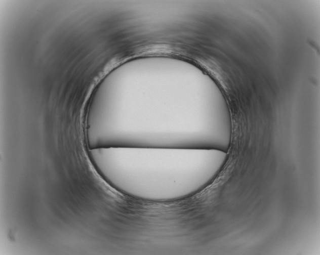 X0000098041475200804071428