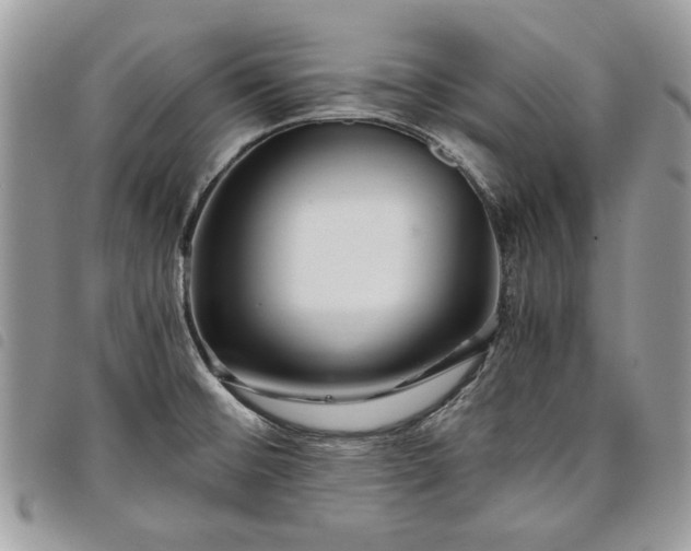 X0000098041476200804071428