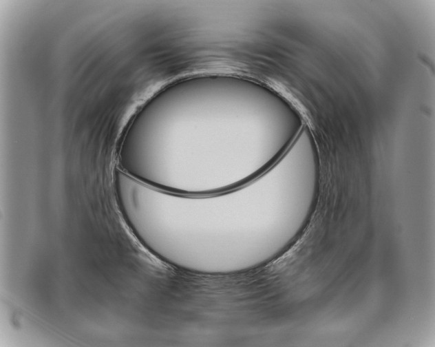 X0000098041477200804071428