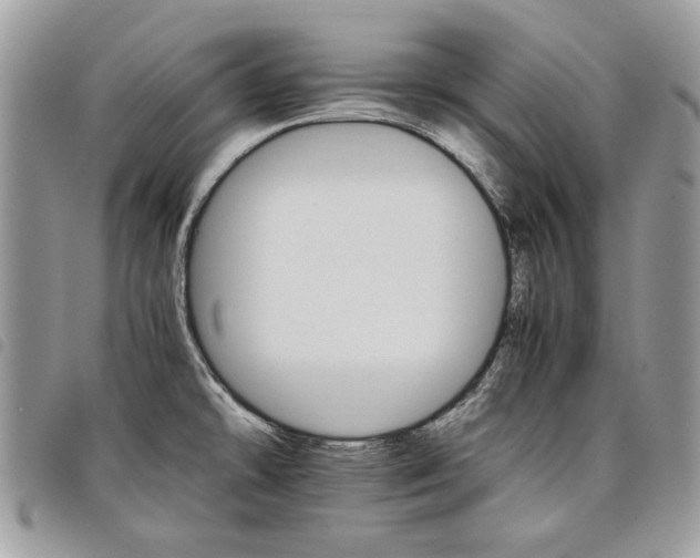 X0000098041478200804071428