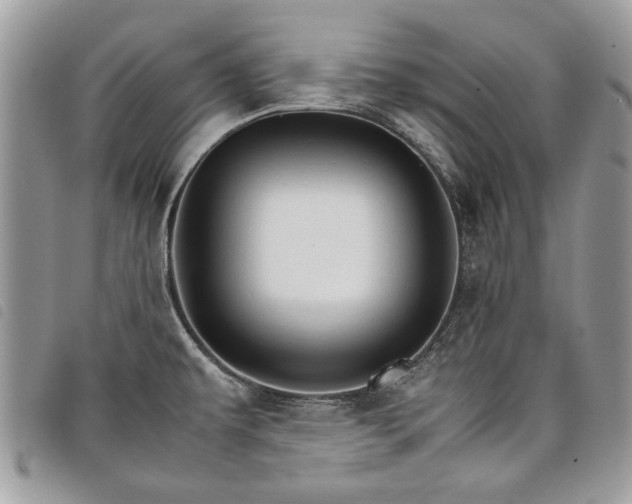 X0000098041479200804071428