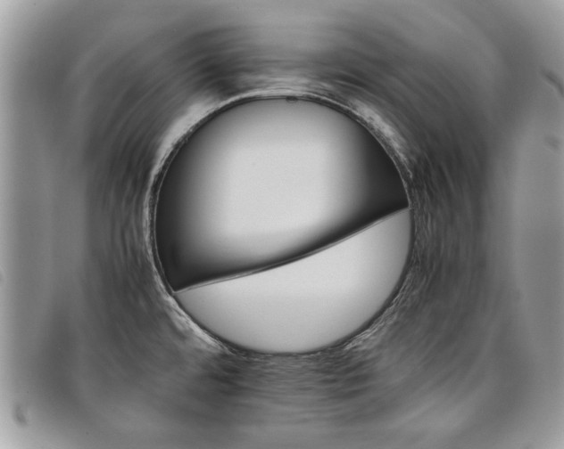 X0000098041480200804071428