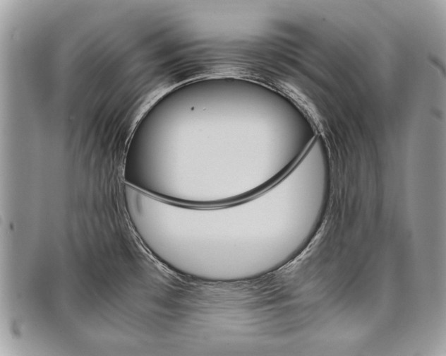 X0000098041481200804071428