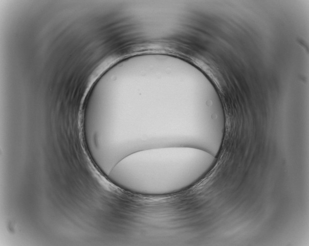 X0000098041482200804071428