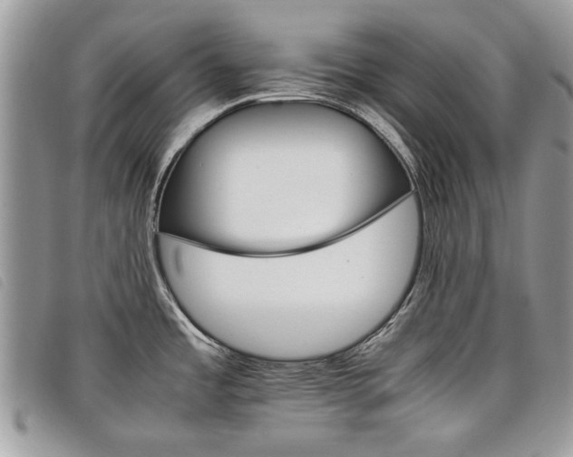 X0000098041485200804071428