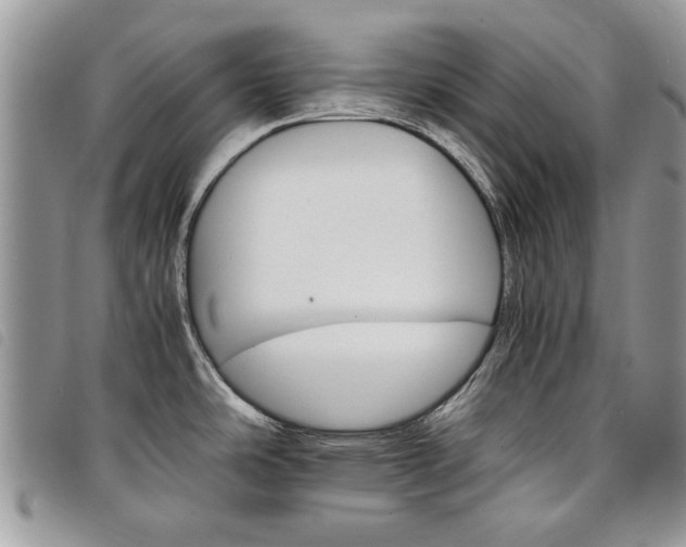 X0000098041486200804071428