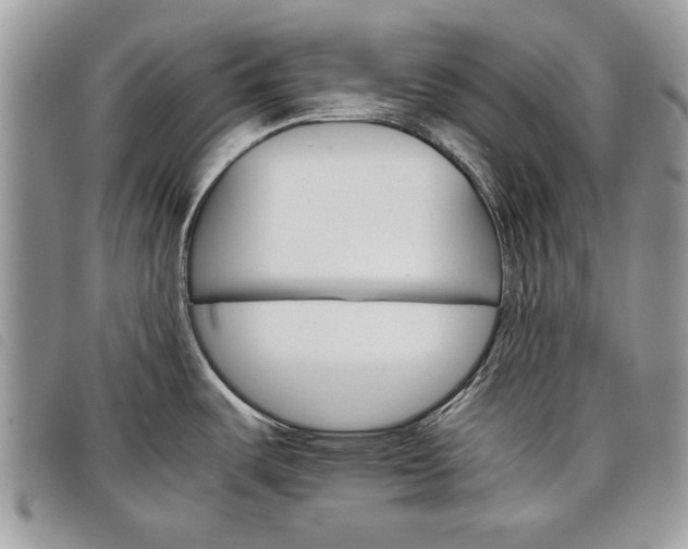 X0000098041487200804071428