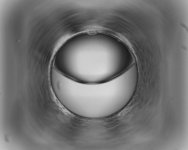 X0000098041488200804071428
