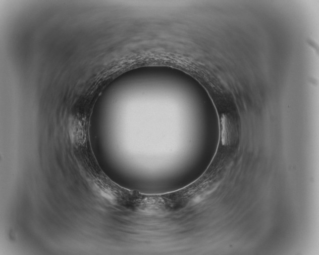 X0000098041491200804071427