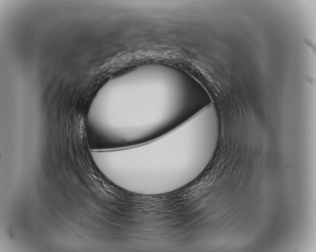 X0000098041492200804071427