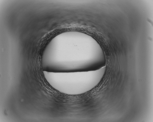 X0000098041493200804071427